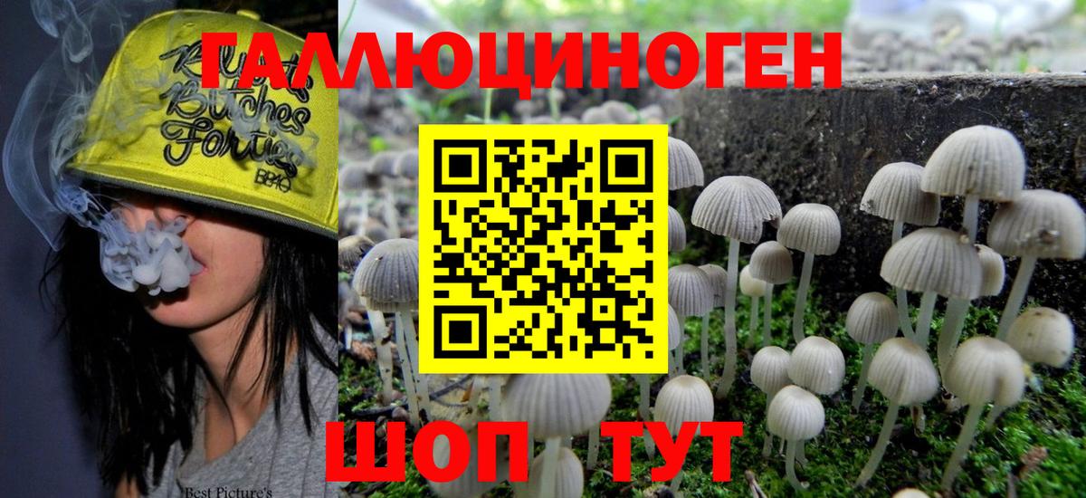 Псилоцибиновые грибы GOLDEN TEACHER Кириши