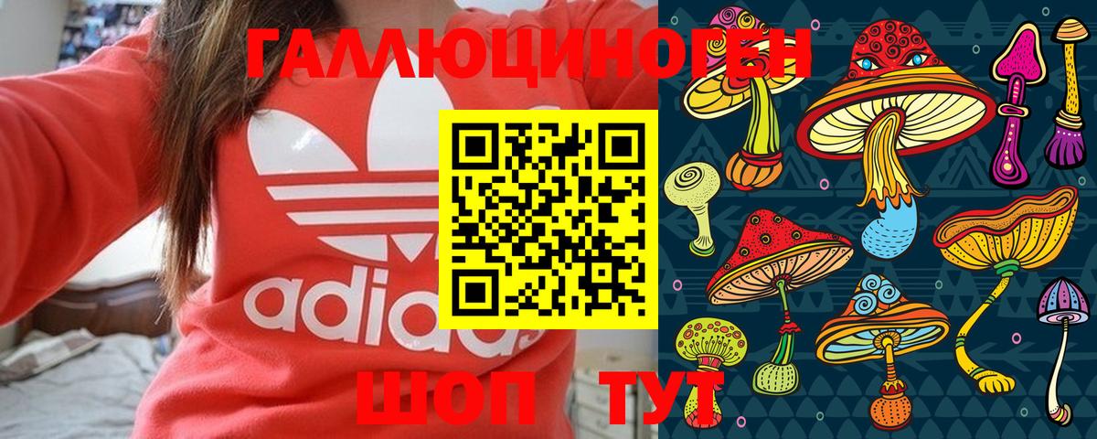 наркота  Псилоцибиновые грибы Psilocybe  Вход с VPN  Псилоцибиновые грибы прущие грибы  Кириши 