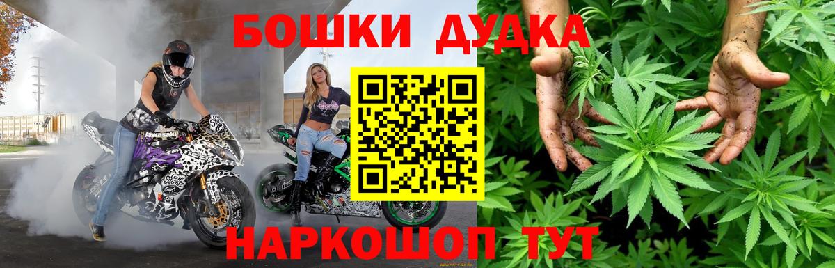 Марихуана планчик  Каннабис гибрид  Вход с VPN  Кириши  Бошки марихуана планчик  Шишки марихуана конопля 